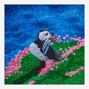Irish Puffin - Saltee Islands - Fineart Print