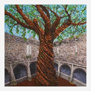muckross abbey yew tree fineart print