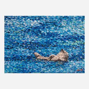 Sunbathing Seal Fineart