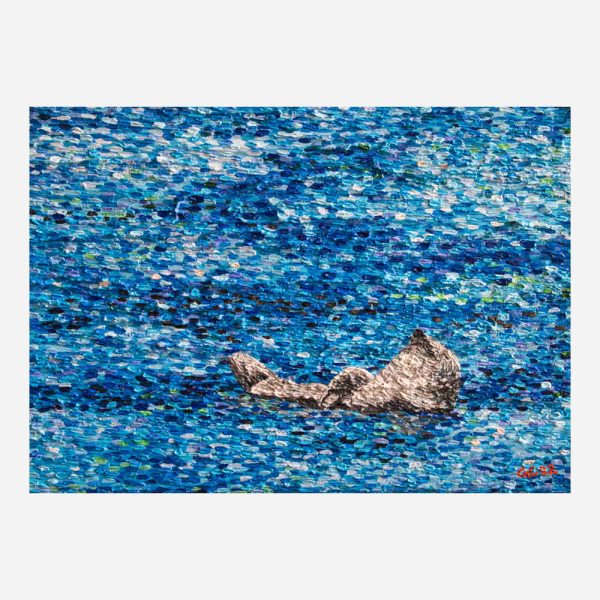 Sunbathing Seal Fineart
